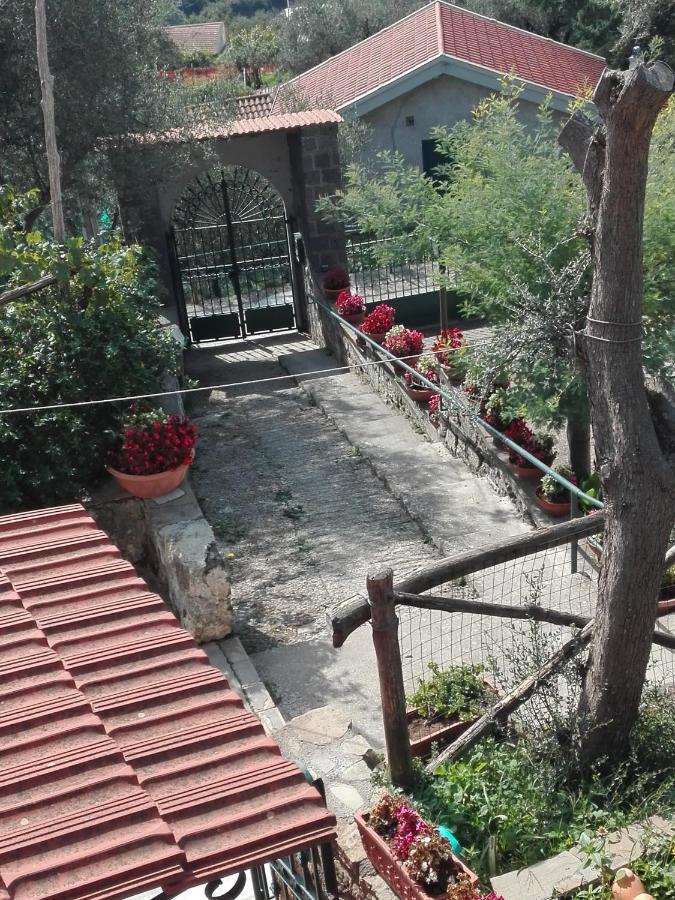 Casa Lorella Bed & Breakfast Massa Lubrense Luaran gambar